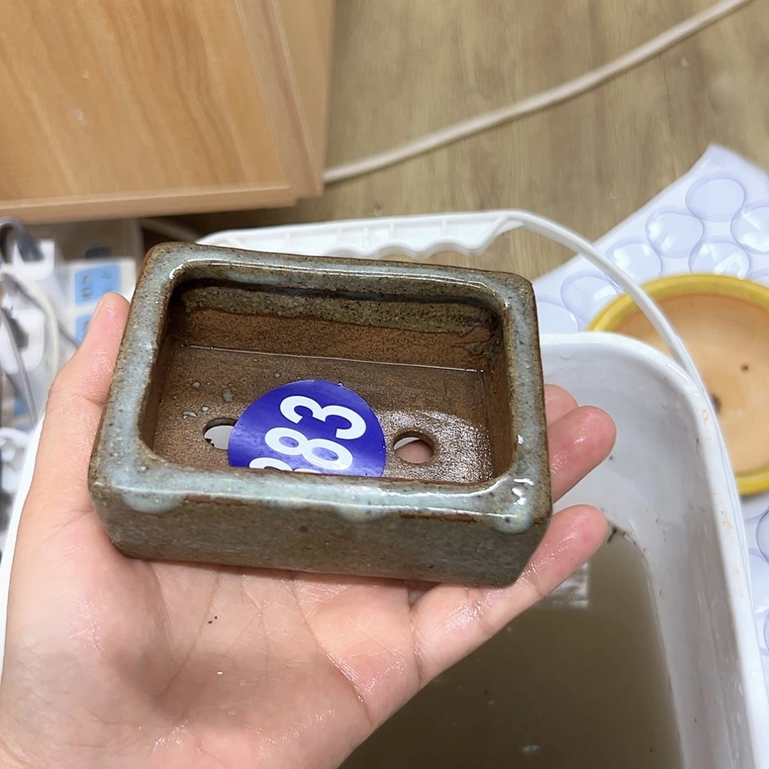 有****红红火火过大年383