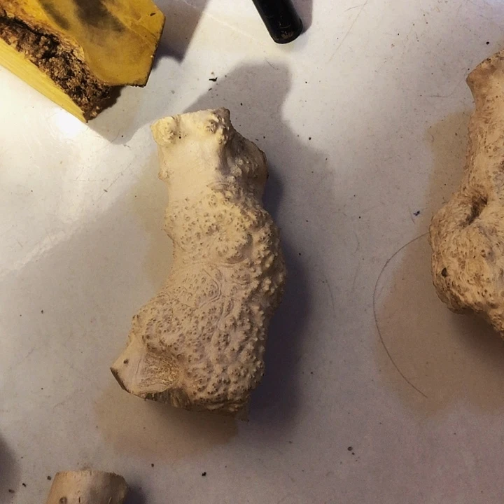 马***2木木料木料木料木料