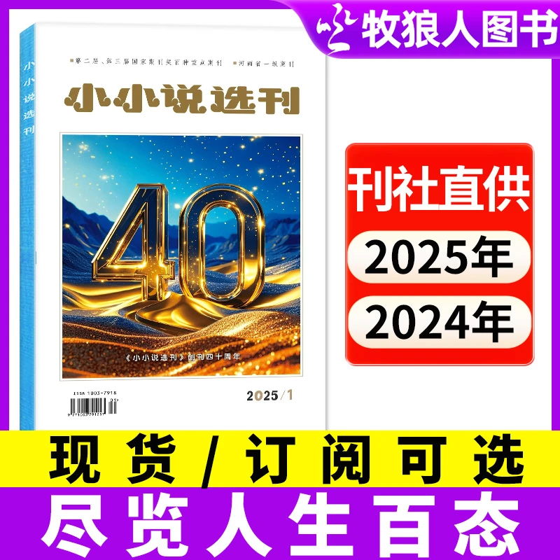 小小说选刊杂志2025年订阅2024年月报散文故事大众文学期刊含过刊