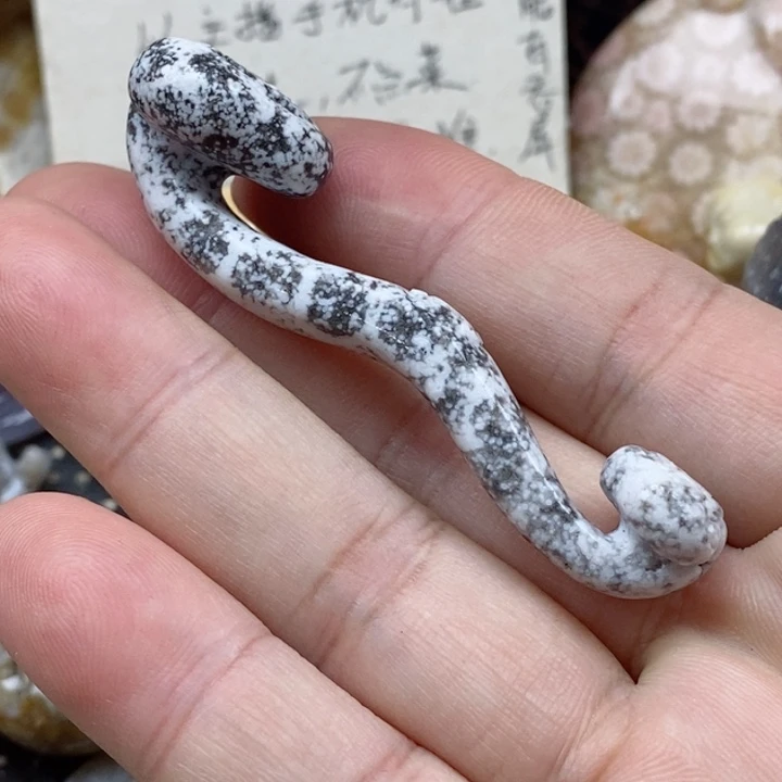 颈饰未镶嵌硅化珊瑚（珊瑚玉）