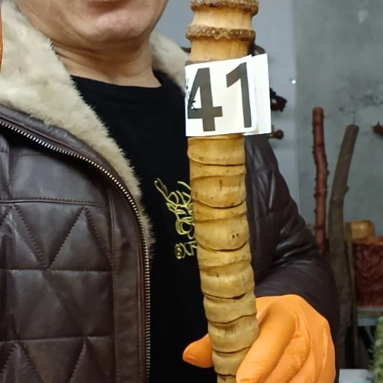 茶***味香榧木高山 檬子木文玩料