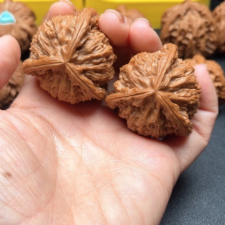 核桃42尺白狮子拼接三棱