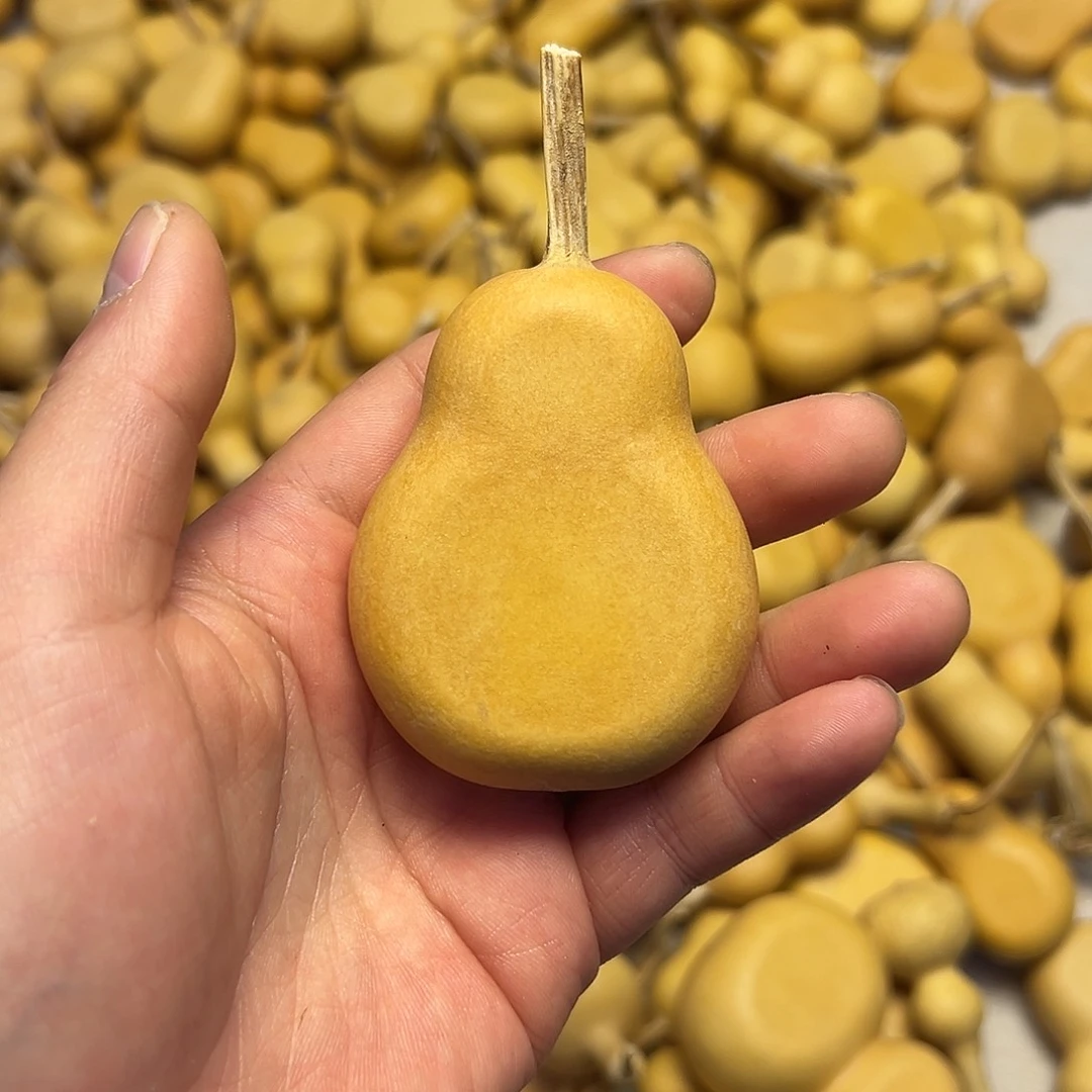 夹扁葫芦不退不换18