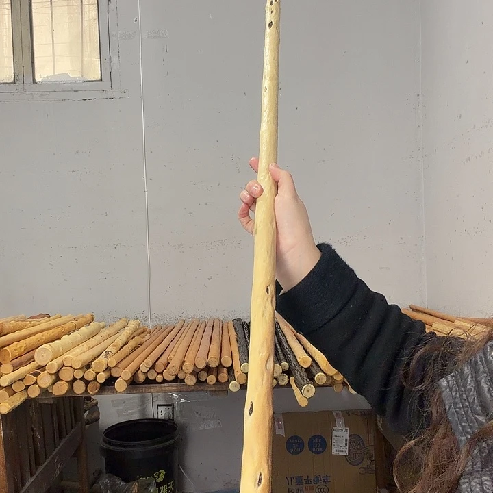 纪***片秦岭石山红牛筋鞭杆