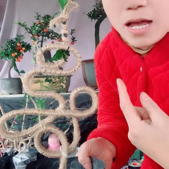 无花朵金弹子寿字