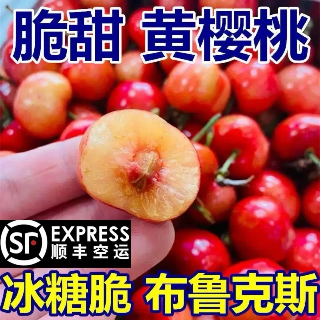 5斤【布鲁克斯】顺丰包邮大樱桃原味爆汁新鲜孕妇水果车厘子5斤