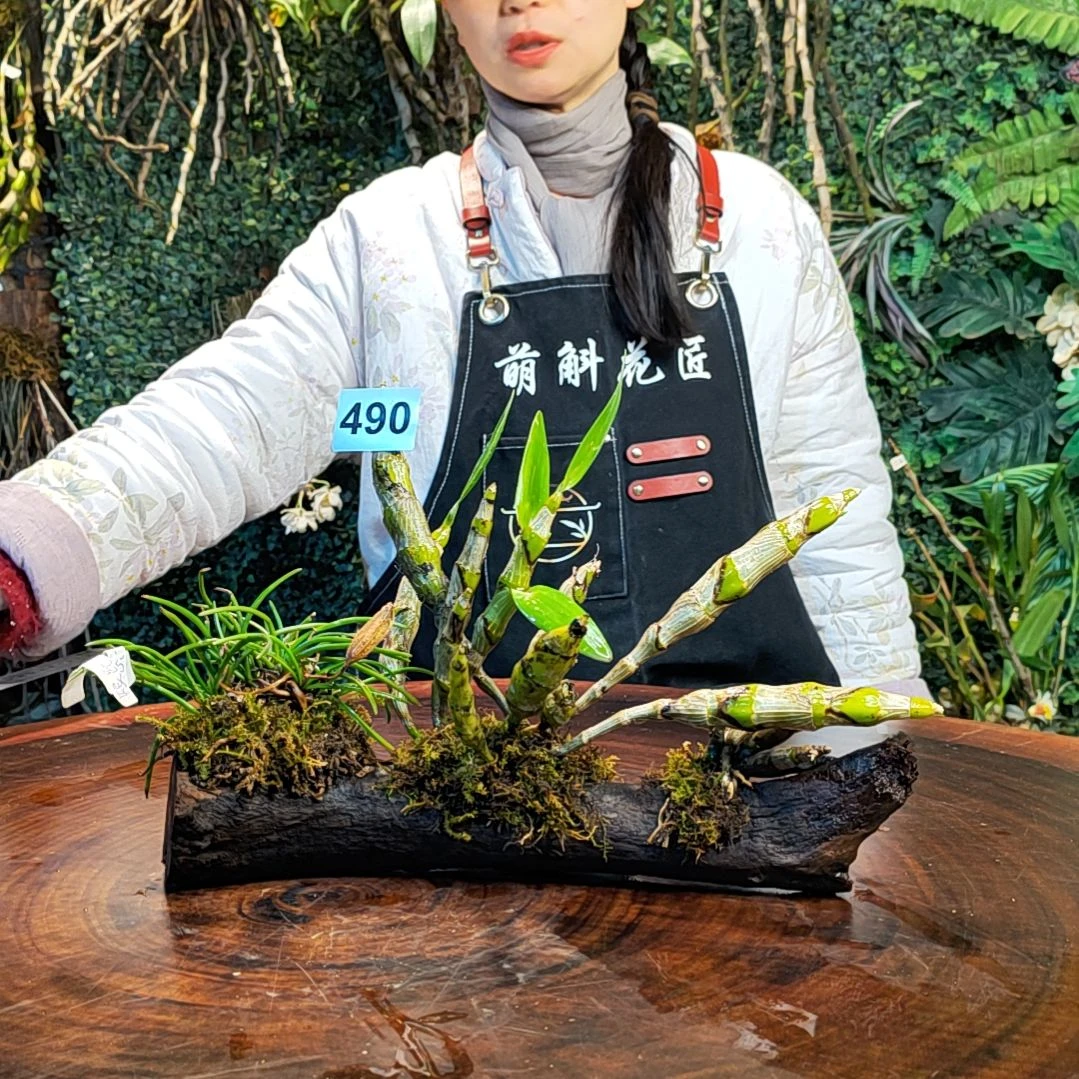 【闪购商品】490组合花
