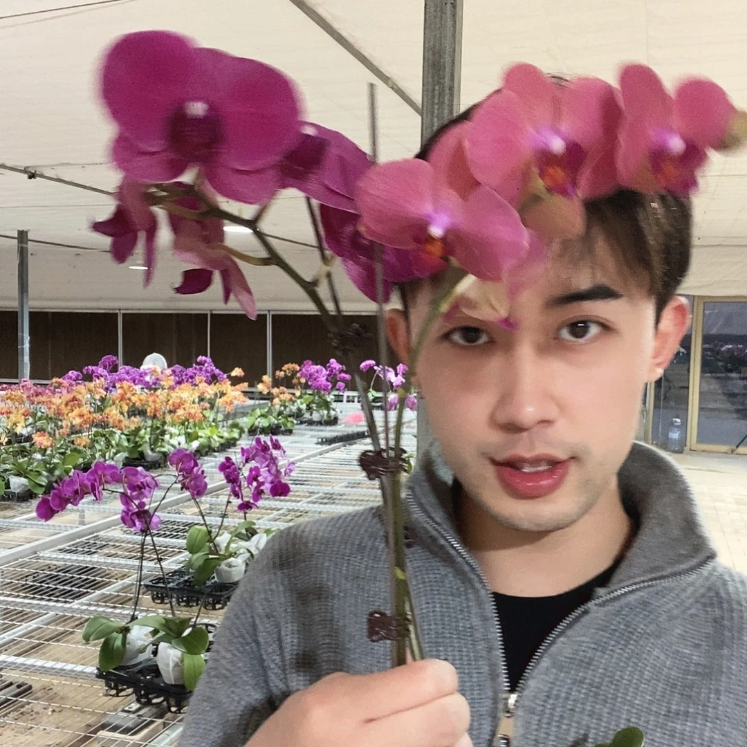 柿***意完全开放布林蒙特勒