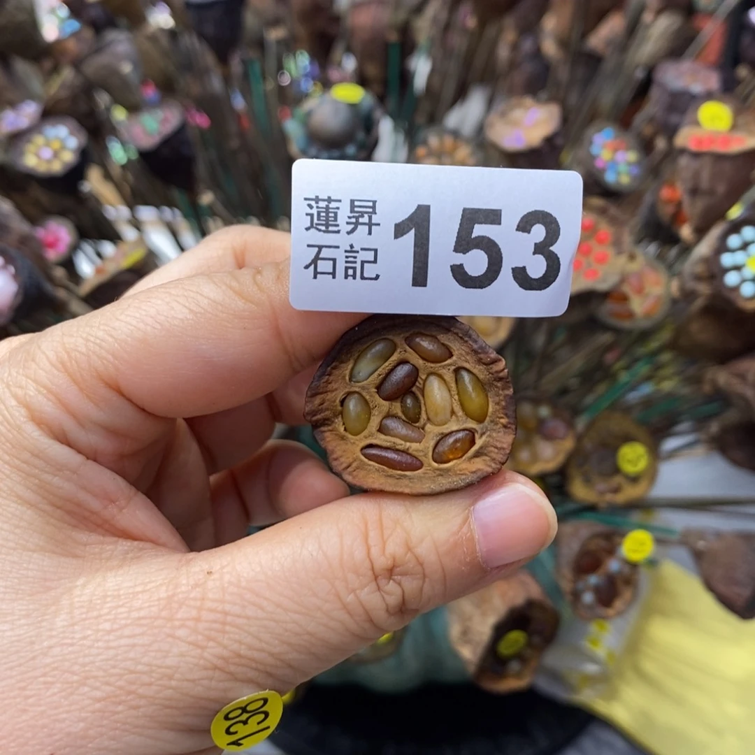 核桃木/黑胡桃（胡桃木）安****子153