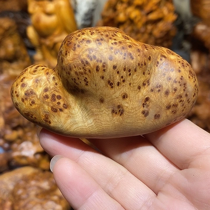 柏木太行崖柏陈化