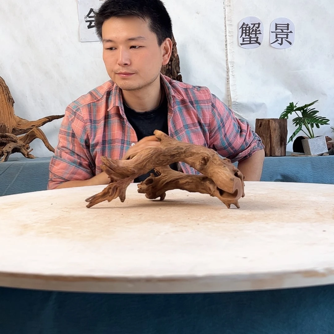 沉木造景寄居蟹景