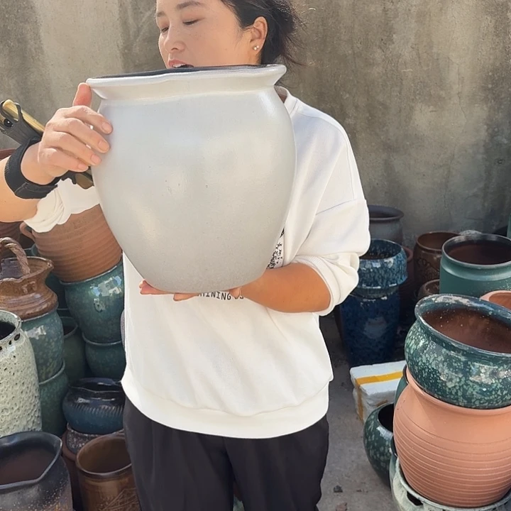 口25高28一盆，子。