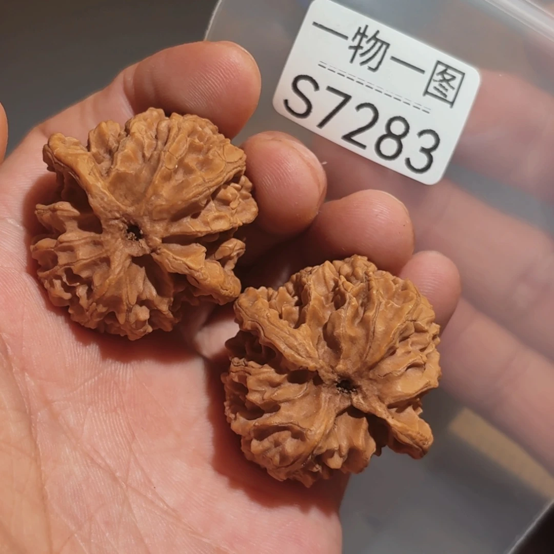 文玩核桃把件苹果