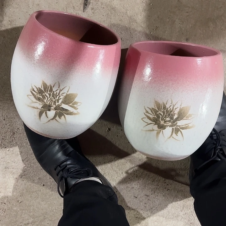 口径16高度20两只正品