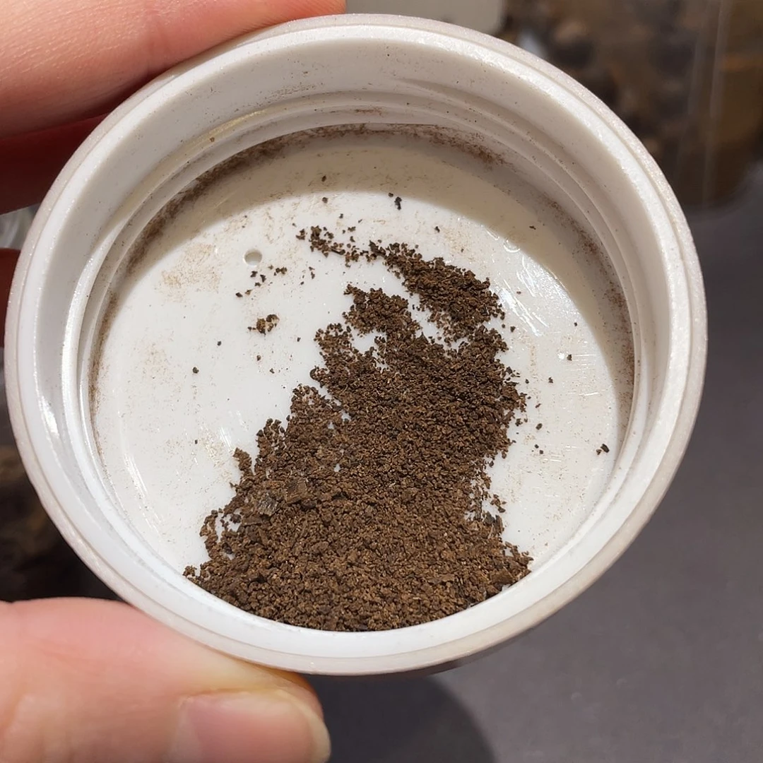 1***6沉香碎屑沉香文莱沉水粉1gBE-02
