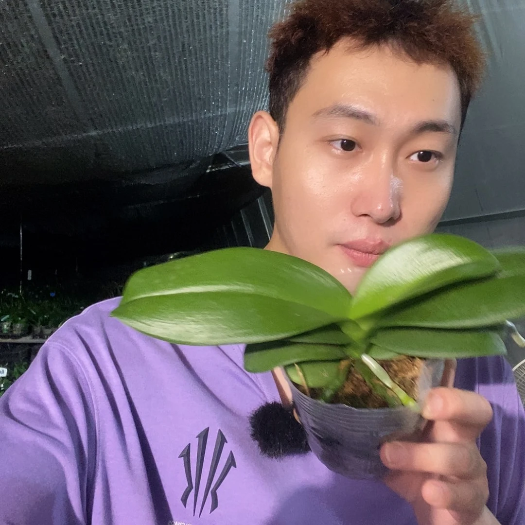 无花朵欧品小蓝福利