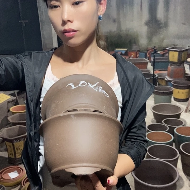 20花盆花盆花盆花盆花盆花盆花盆