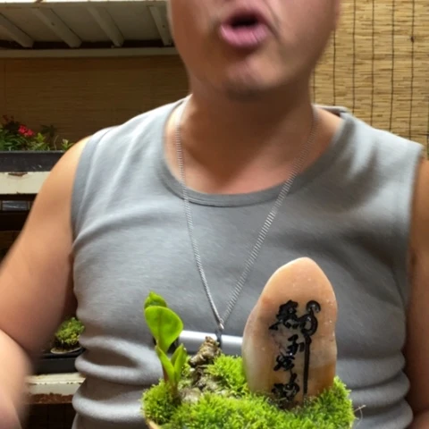 红陶一物一拍所见即所得57