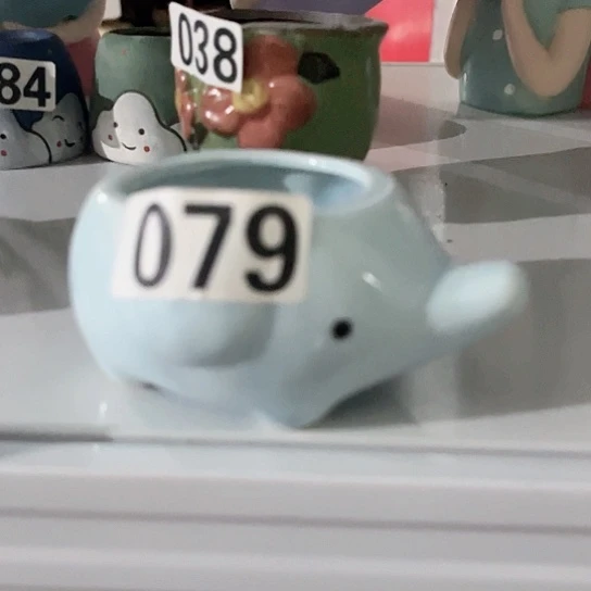 多肉植物花盆花盆