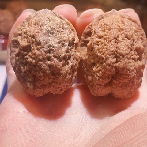把件文玩核桃合十印瑕疵品42带彩糠皮
