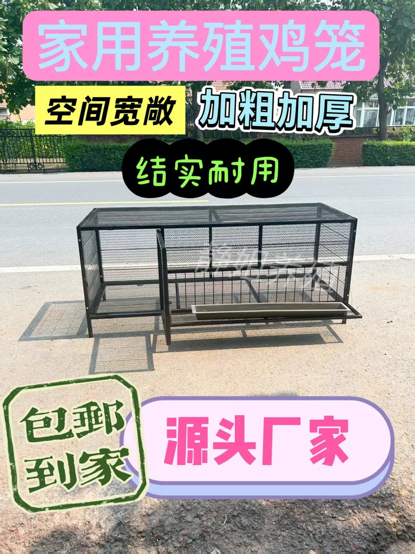 伸头吃食款鸡笼鸭笼家用养殖户外养殖笼加厚鸡笼方便饲养