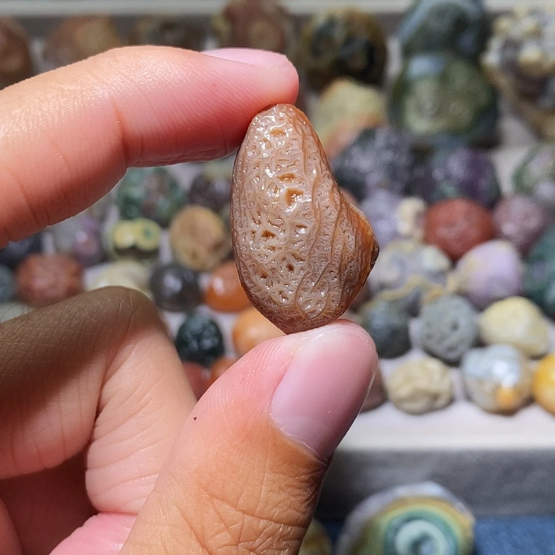 石头精品筋脉单科