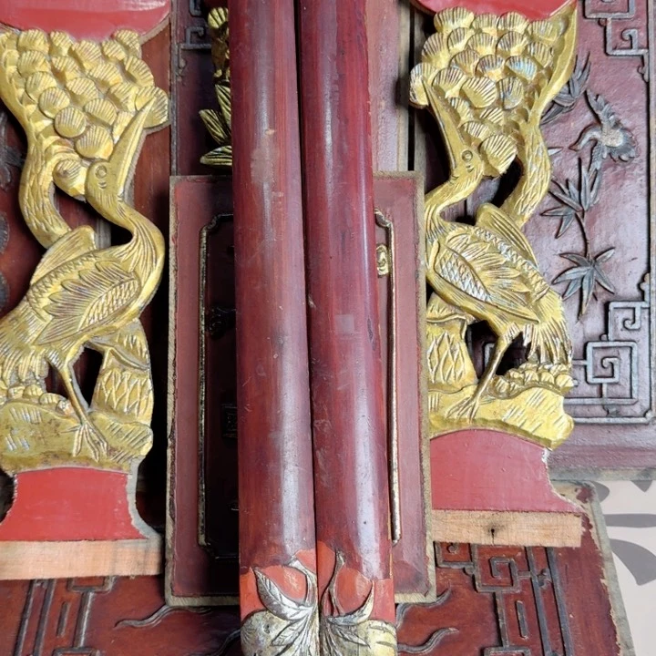 香榧木飞*天这么样还没