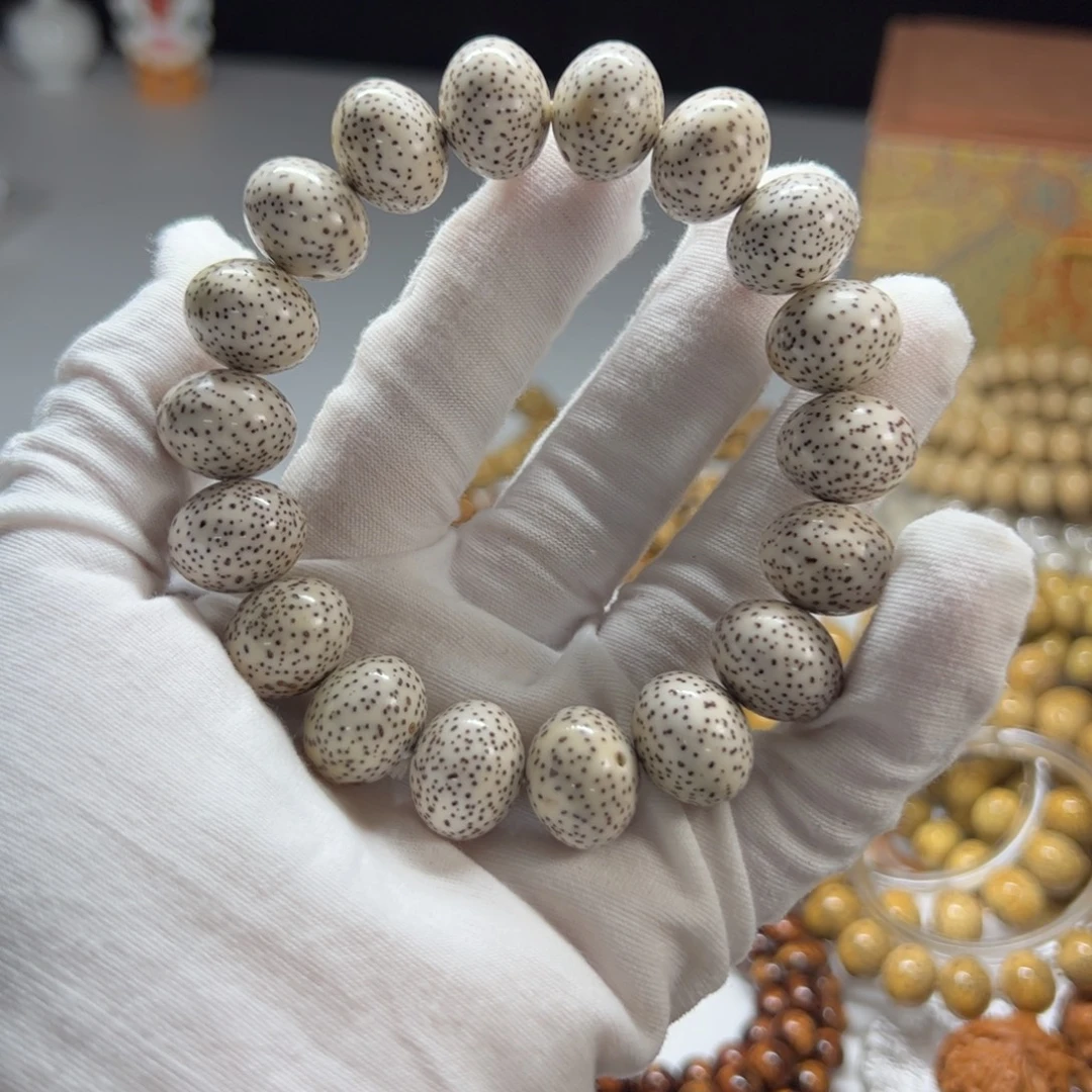 海南料原生态16.13