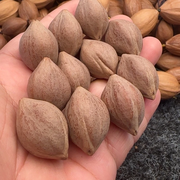 橄榄核手串橄榄核原皮铁盒三面佛