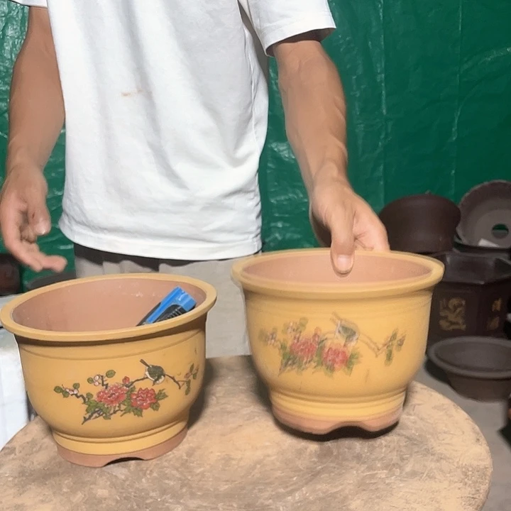 黄色鸟语花香小号一对