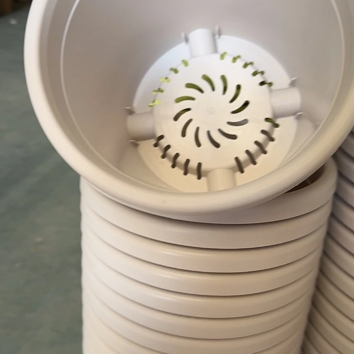 四季4号灰白无托10个特价微瑕