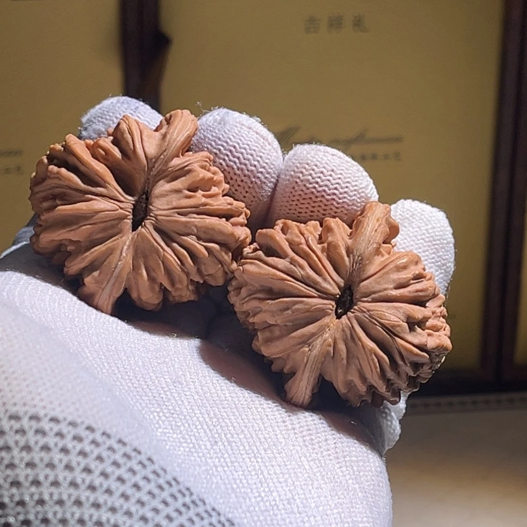 鞍***陈全品。42全品楼子。