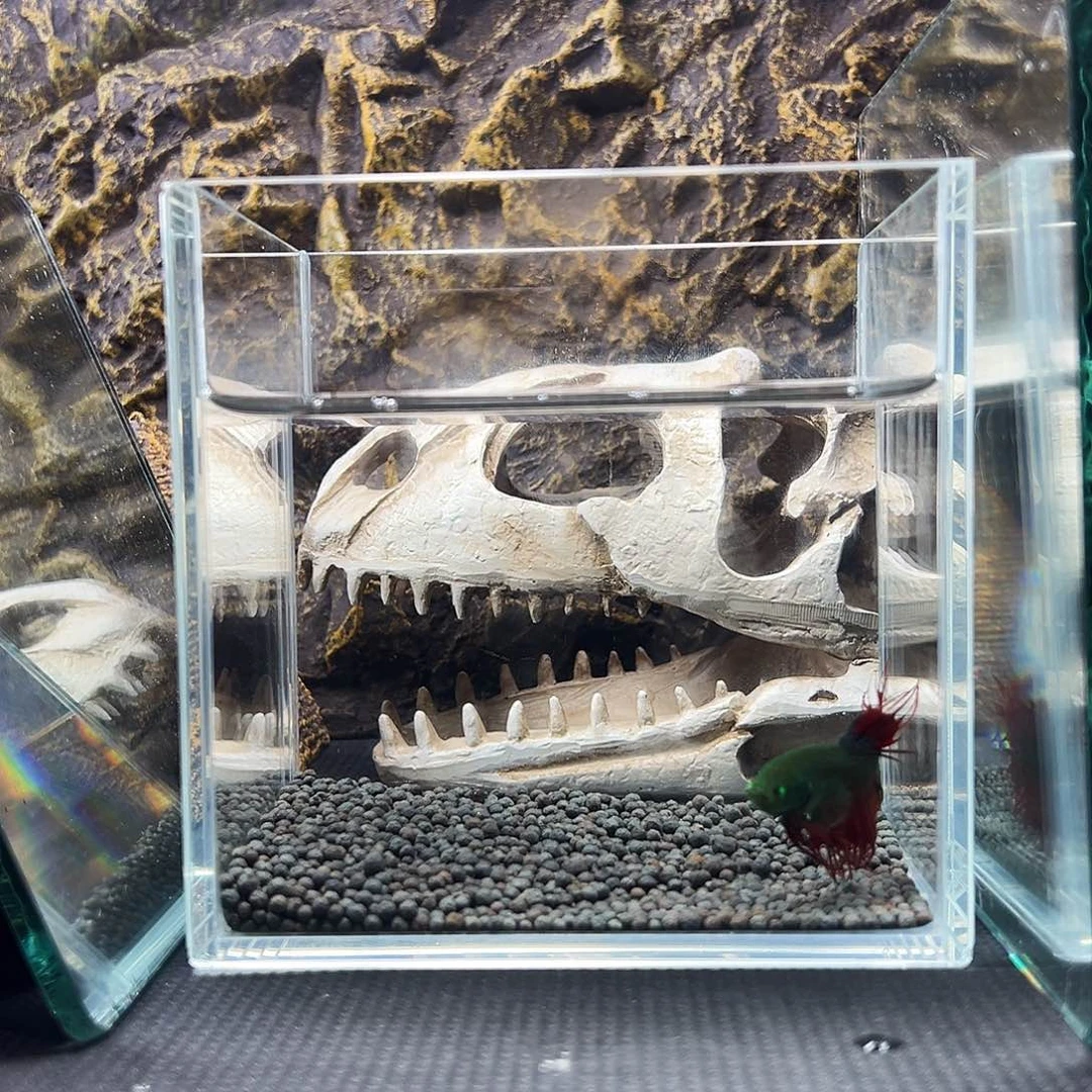 斗鱼精品精品精品精品精品