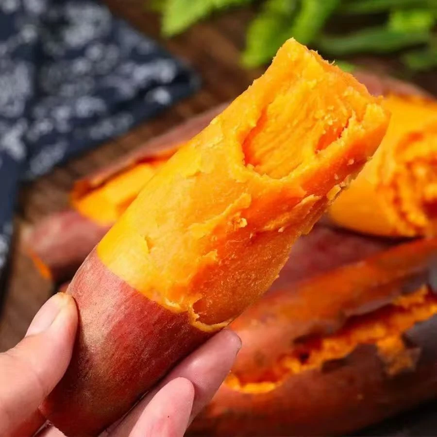 （到手带箱5斤）新鲜现挖西瓜红蜜薯红心番薯（物流断裂不影响食用）