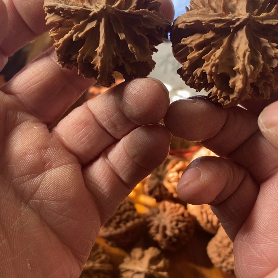 ?****虎秦岭南侧和东北北部部分