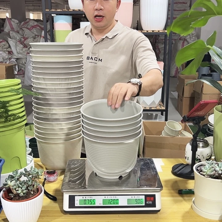 矮陶口21高16灰白色5个无托