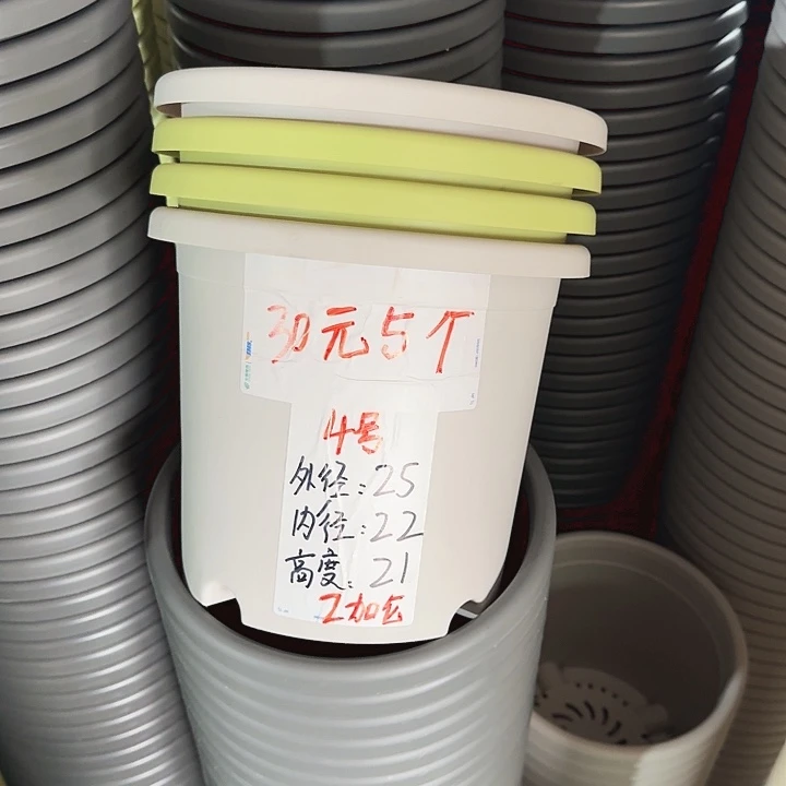 四季4#口径25灰白8个无托