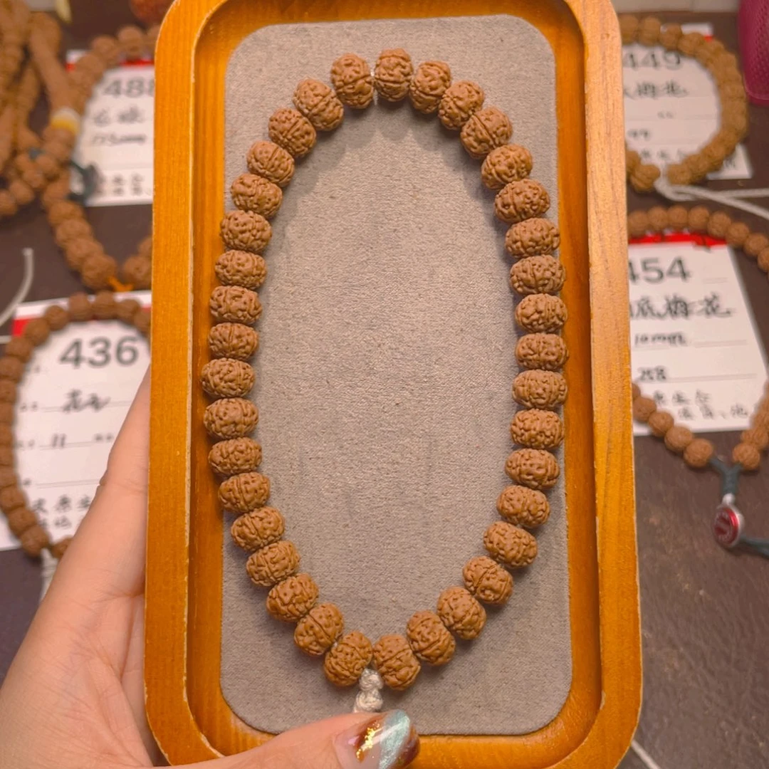菩提437六瓣老树王11+