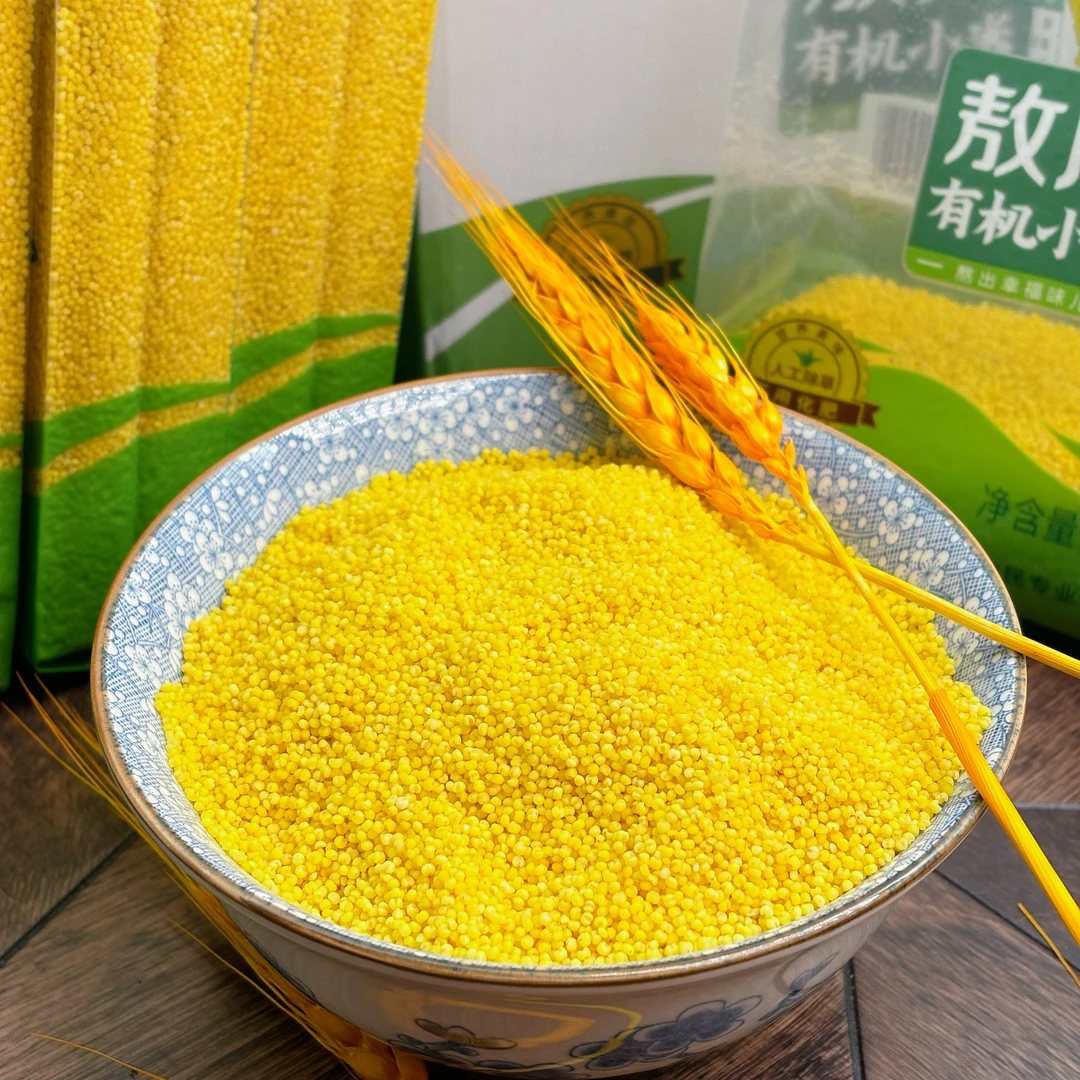 有机小米内蒙古敖汉小米色泽金黄米汤粘稠口感绵密软糯500g*5袋