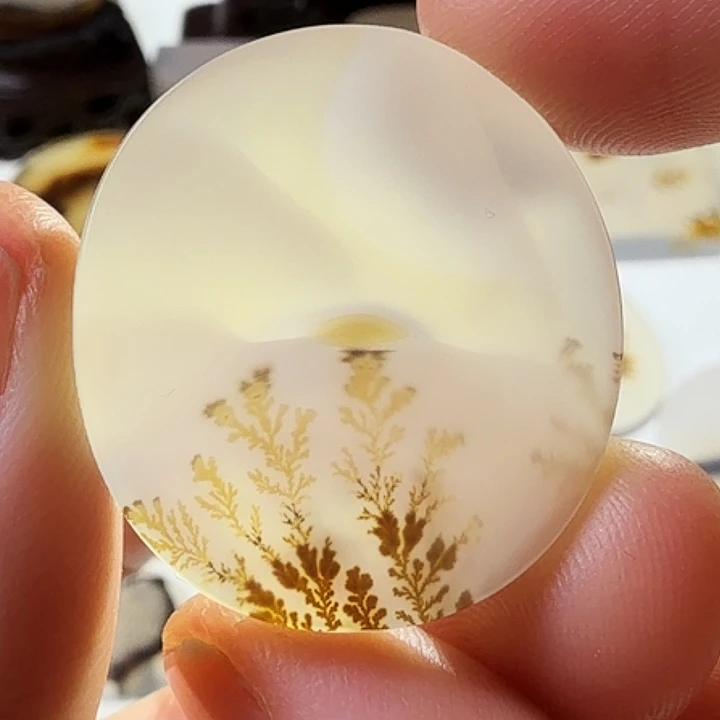 玛瑙/玉髓未镶嵌珠宝半成品