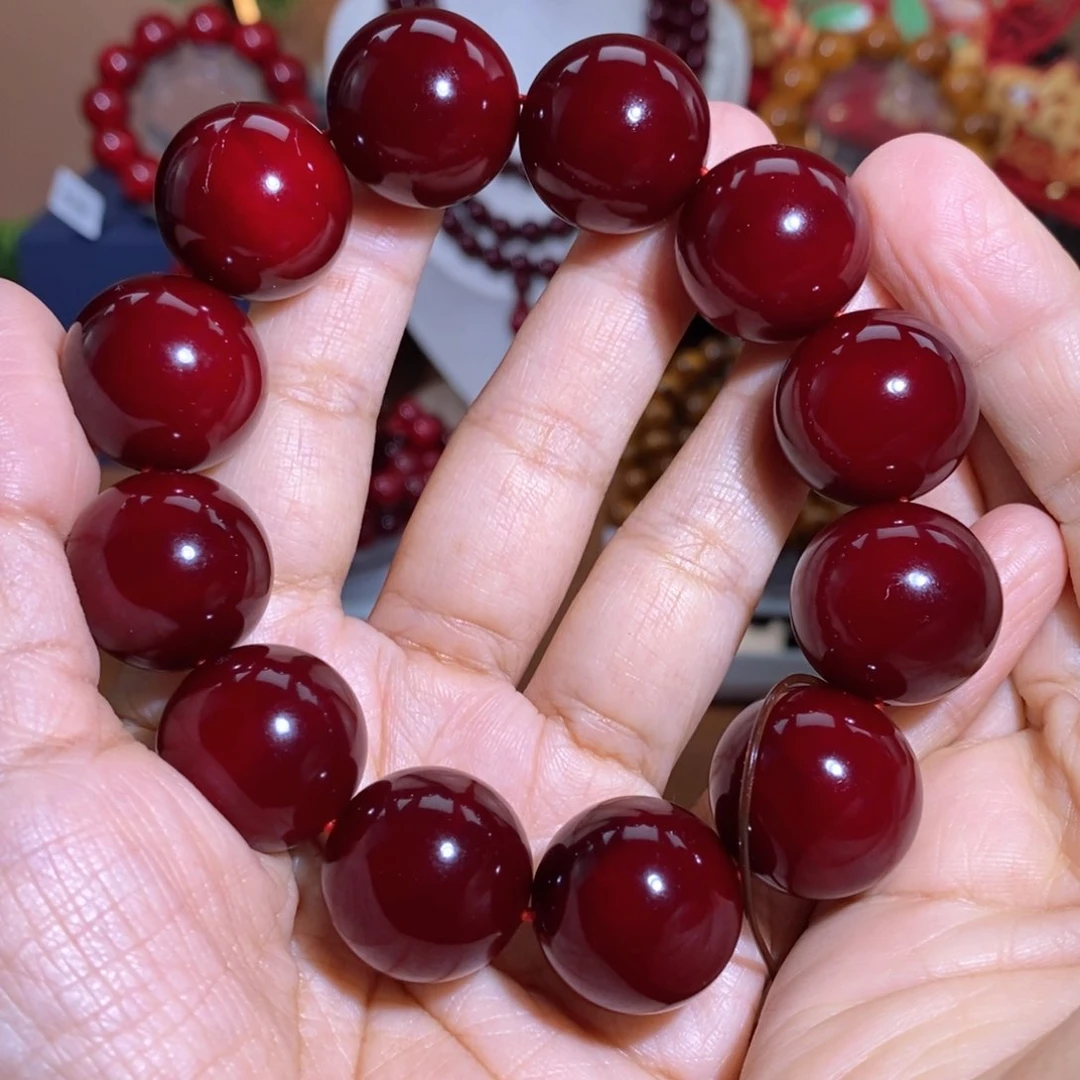 贝壳杉帝王血龙木2.0千年