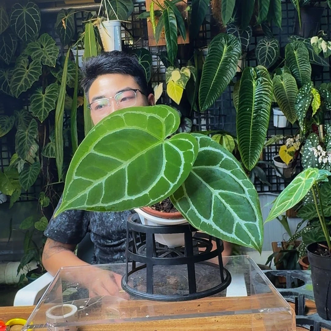 多***店完全开放一物一拍J151