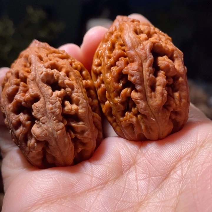 文玩核桃把件东北楸子小路 221