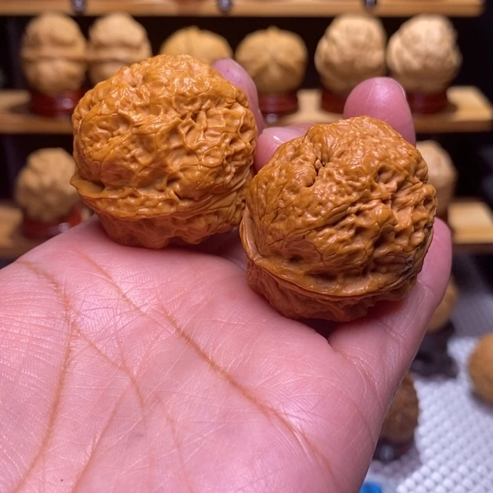 木质类云铁五毒蟾63号