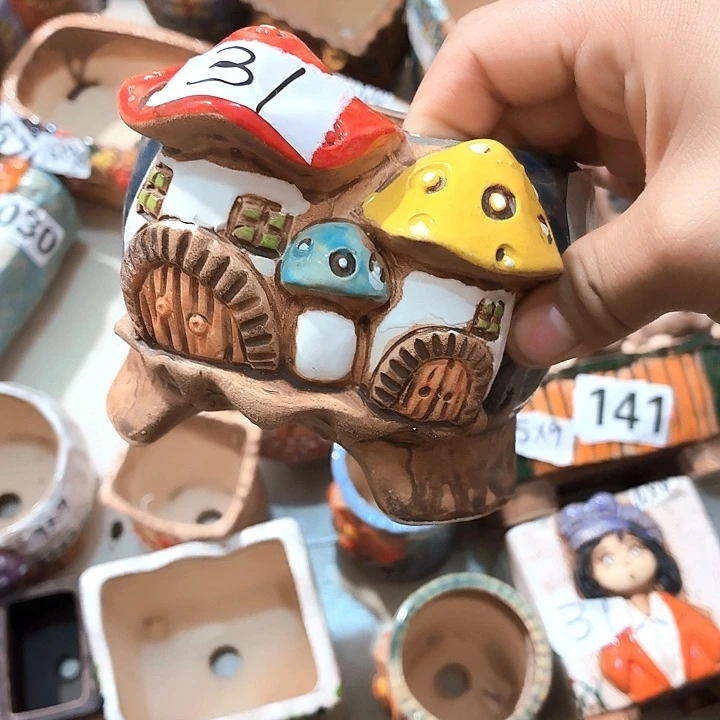 多肉花盆满15包邮