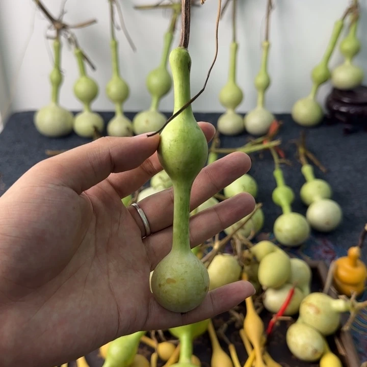 一***~大叶紫檀（黑酸枝木类）