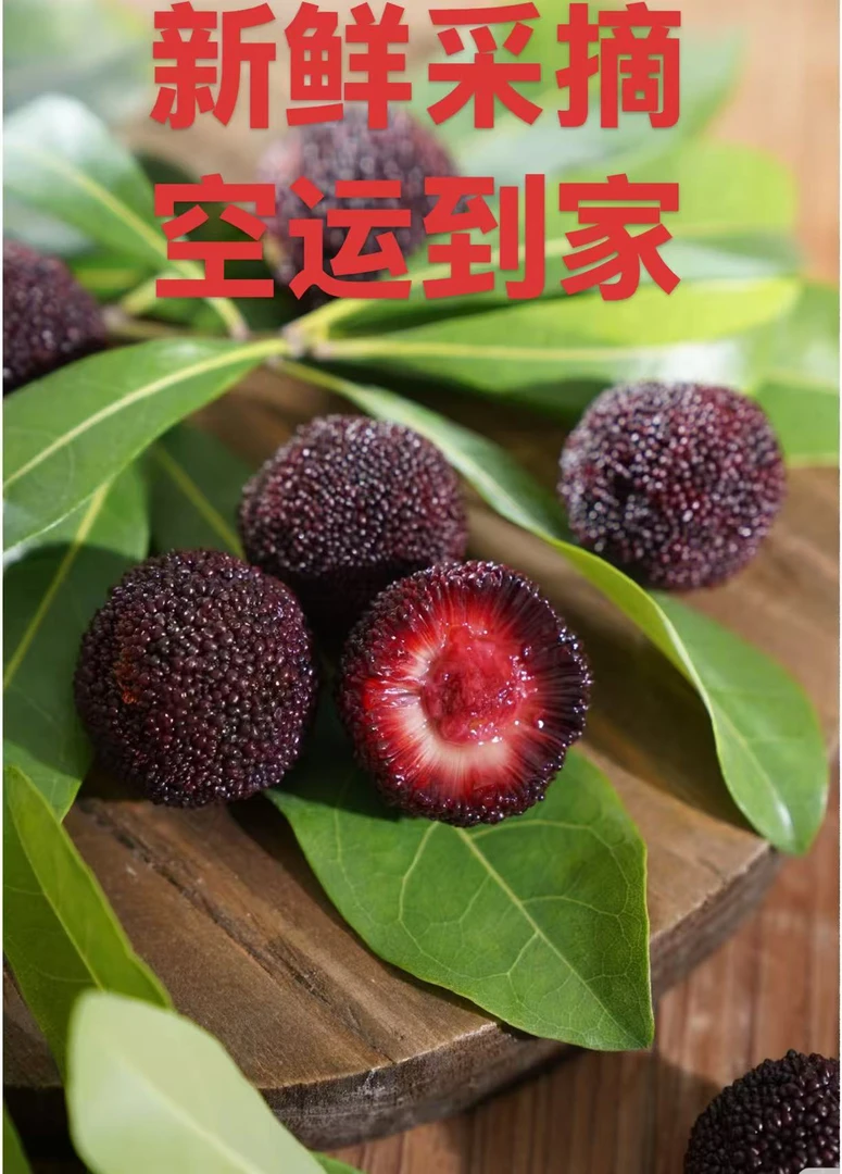 颗粒装  精品果（EMS空运）云南高山杨梅新鲜采摘