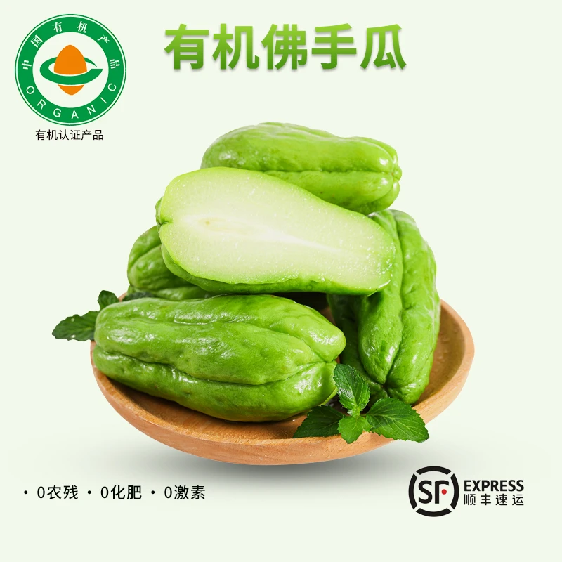 有机佛手瓜、福寿瓜、洋瓜 现摘现发 新鲜蔬菜当季蔬菜顺丰特快