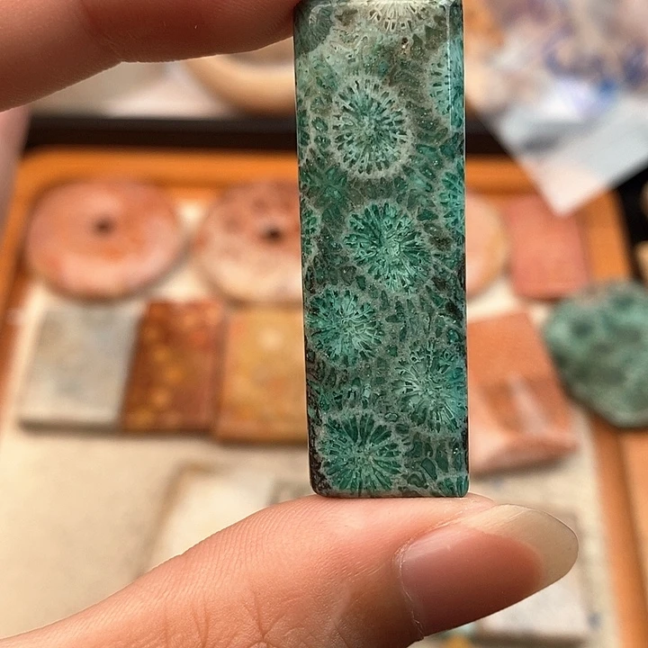 硅化玉颈饰未镶嵌平*