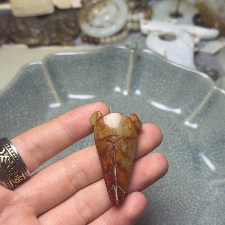 直播放漏专属链接7